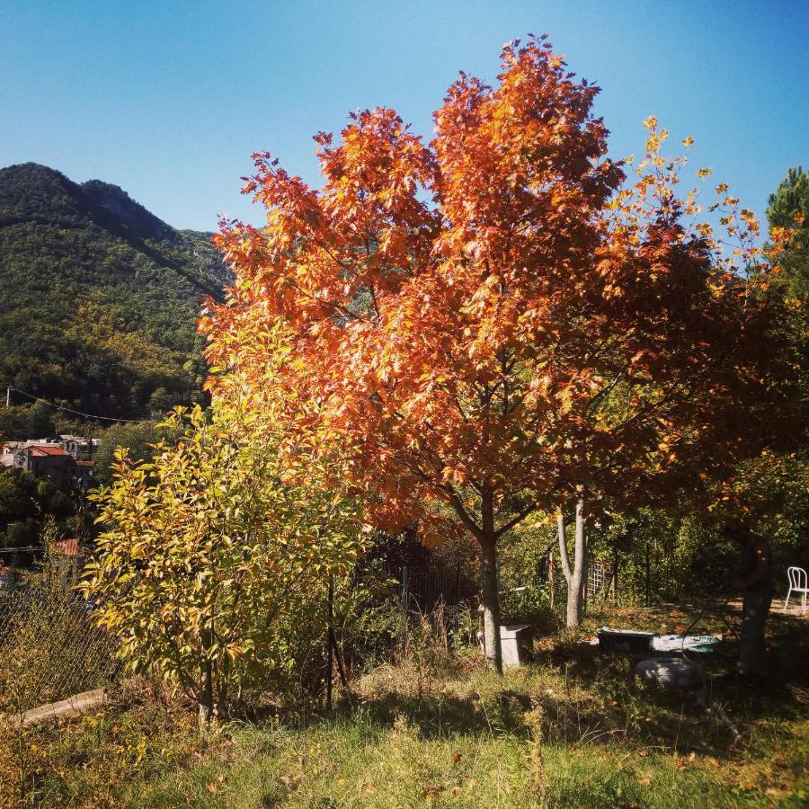 Inlakesh Le Tech Bagian luar foto
