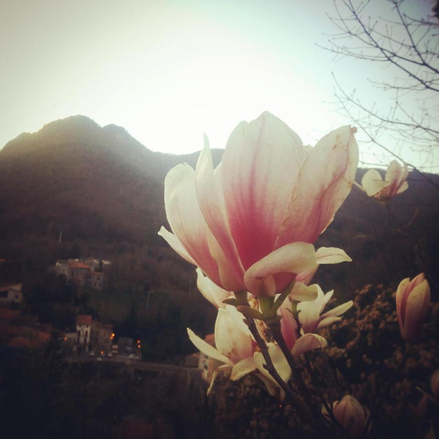 Inlakesh Le Tech Bagian luar foto