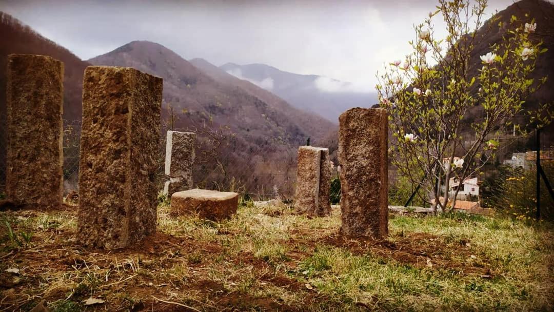 Inlakesh Le Tech Bagian luar foto