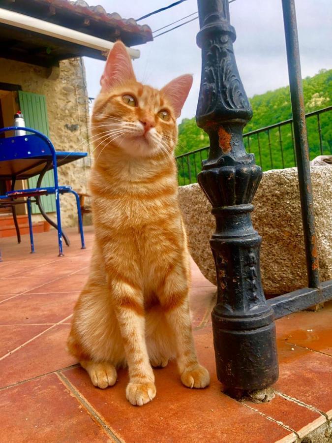 Inlakesh Le Tech Bagian luar foto